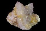 Cactus Quartz (Amethyst) Crystal Cluster - South Africa #137763-1